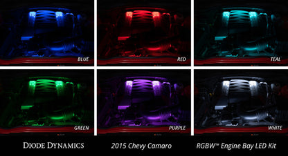 Diode Dynamics RGBW Engine Bay Strip Kit 4pc Multicolor