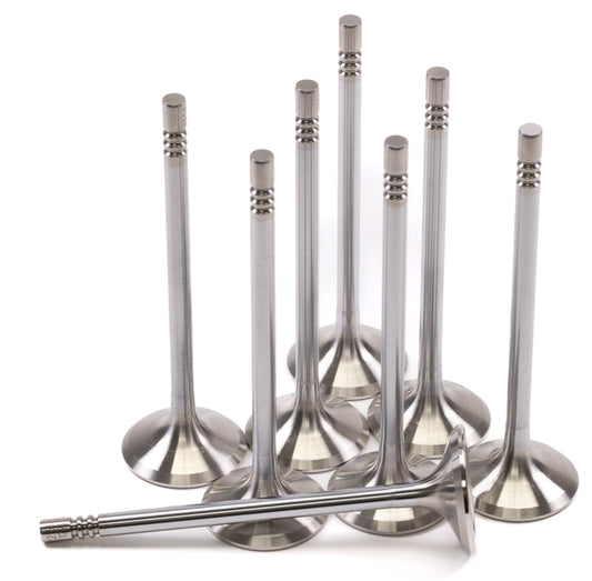 GSC P-D Ford Mustang 5.0L Coyote Gen 1/2 32.75mm Head (+1mm) Chrome Polish Exhaust Valve - Set of 8