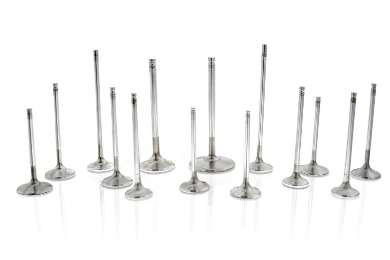 Ferrea Audi/VW BTW 29mm 5.97mm 102mm 24 Deg Flo +1mm Trpl Grv Super Alloy Exhaust Valve - Set of 10