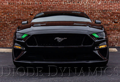 Diode Dynamics 18-23 Ford Mustang RGBW DRL LED Boards