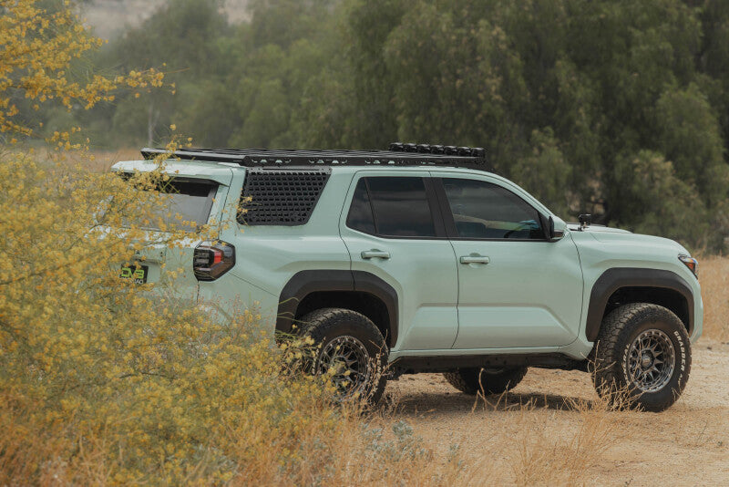Photo - Close Up