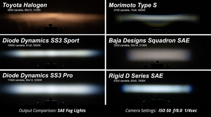 Diode Dynamics 17-20 Ford Raptor SS3 LED Fog Light Kit - White Sport