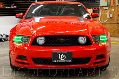 Diode Dynamics 13-14 Ford Mustang RGBW DRL LED Boards
