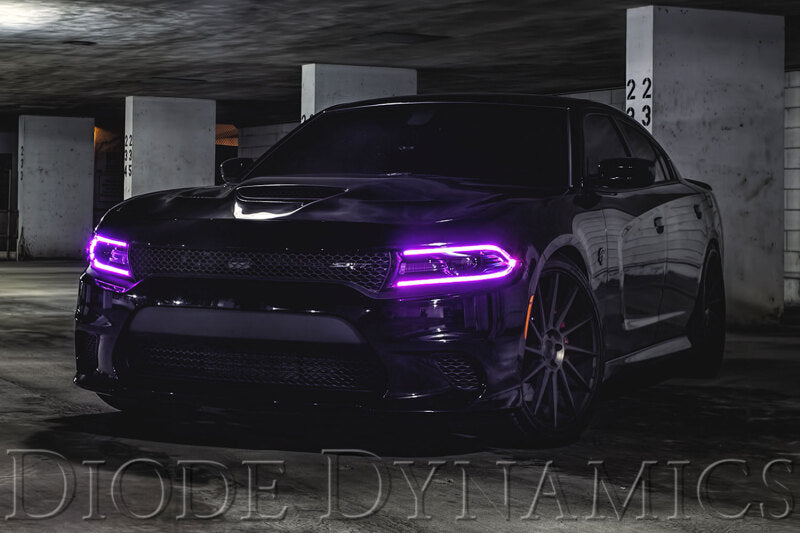 Diode Dynamics 2015-2018 Dodge Charger RGBW DRL LED Boards