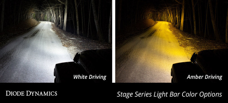 Diode Dynamics Raptor 2017 Stage Series Fog Kit 12 - White Driving