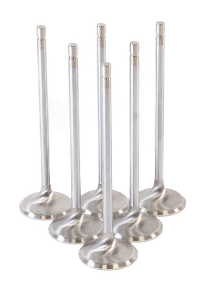 GSC P-D Toyota G16E-GTS 32.8mm Head (STD) Chrome Polished Intake Valves - Set of 6