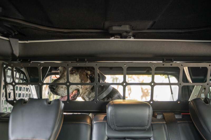 DV8 Offroad 2021-2024 Ford Bronco Dog Barrier