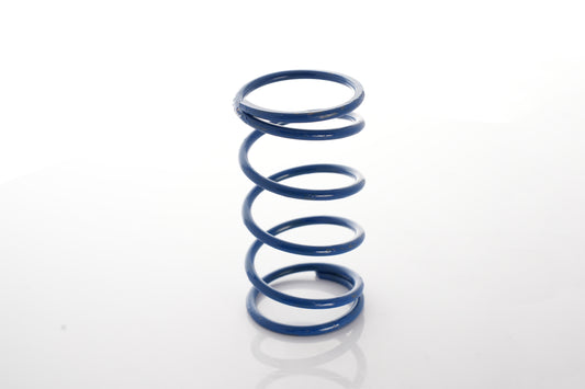 Precision Turbo - PTE WG LARGE BLUE SPRING 18 PSI