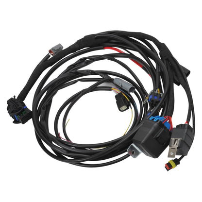 Edelbrock 15-17 Ford Coyote Pro-Flo 4+ EFI Engine Management System