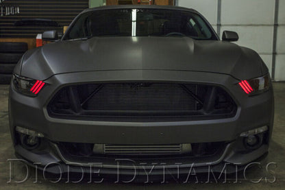 Diode Dynamics 15-17 Ford Mustang RGBW DRL LED Boards