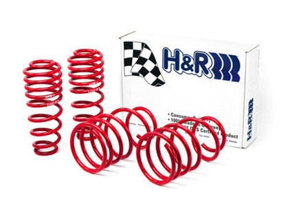 H&R 05-09 Ford Mustang/Convertible/GT/Shelby GT/Shelby GT-H V6/V8 Race Spring