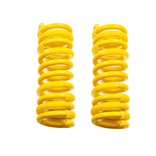 Belltech MUSCLE CAR SPRING KITS DODGE 300C MAGNUM 8 CYL(EXC S