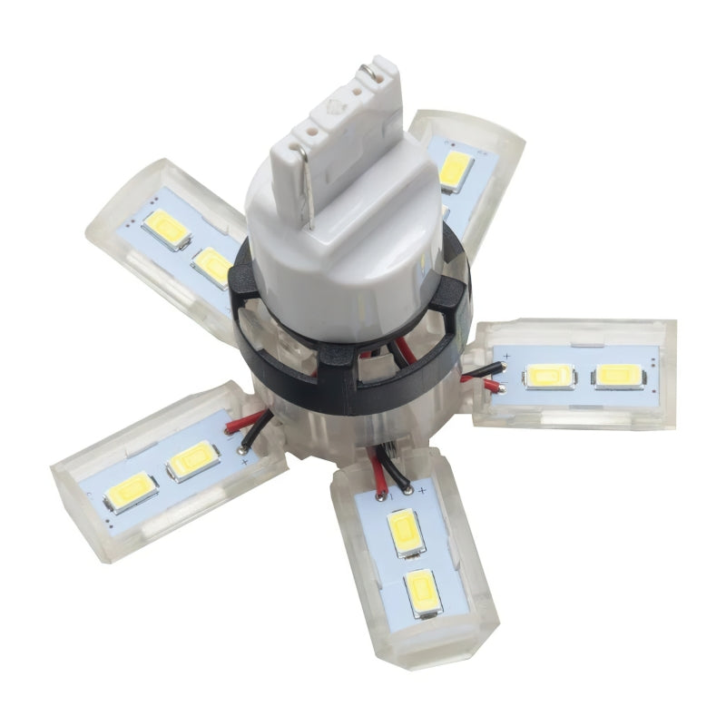 Oracle 7440 24 SMD 3 Chip Spider Bulb (Single) - Cool White
