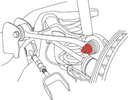 SPC Performance Ford 10+ Taurus / 01+ Explorer Rear Camber Kit