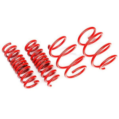 AST Suspension 2017+ Tesla Model 3 Long Range RWD Lowering Springs 25mm/25mm