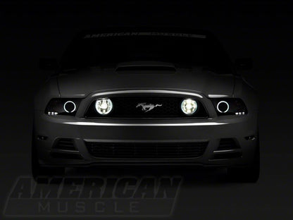 Raxiom 13-14 Ford Mustang GT CCFL Halo Fog Lights- Chrome